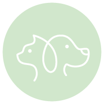 Logo for Pets in the classroom - Ali Finnegan