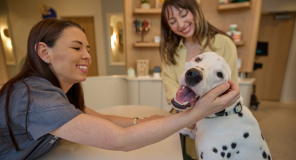 The exterior of Chewy Vet Care Halcyon
